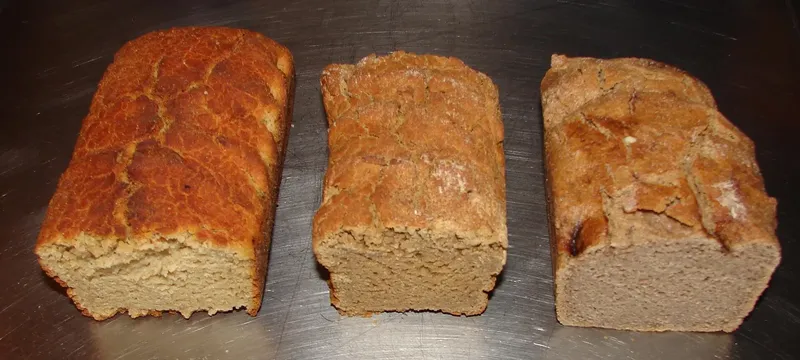 Panes sin gluten (quinoa, trigo sarraceno, teff). Фото: Eurobas, CC BY-SA 3.0, Wikimedia Commons